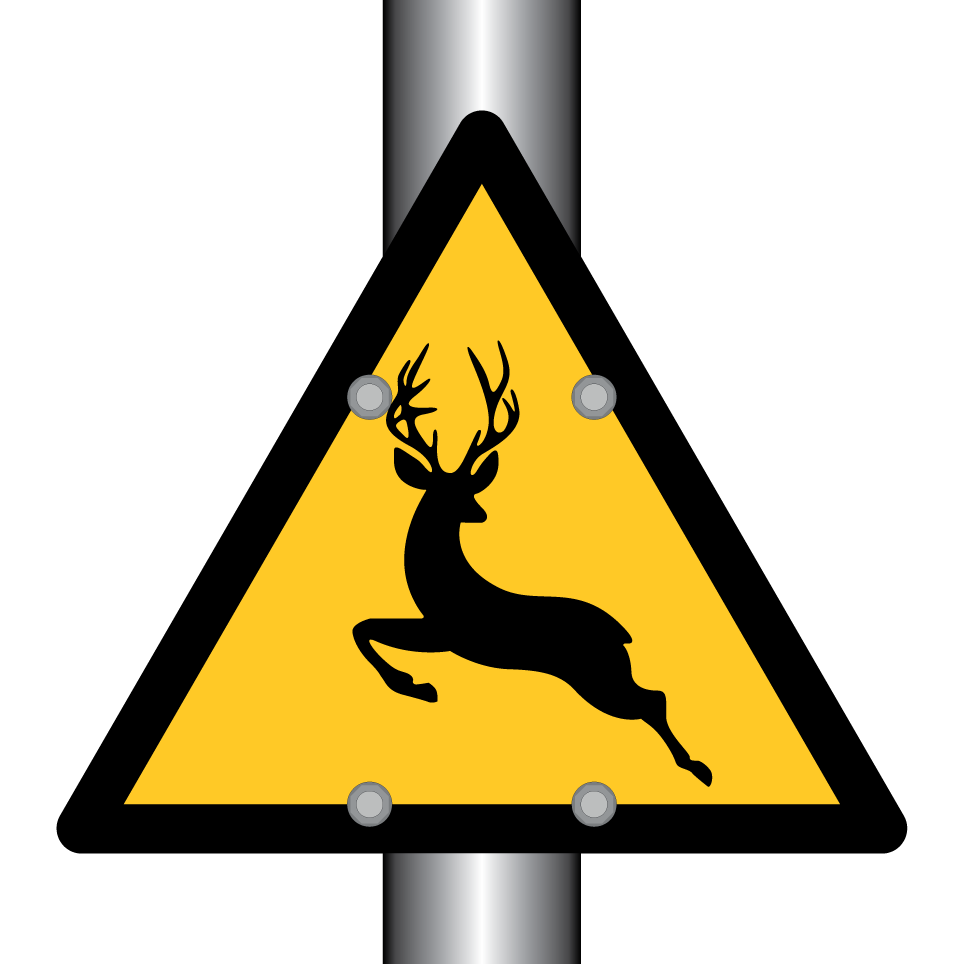 Warning deer