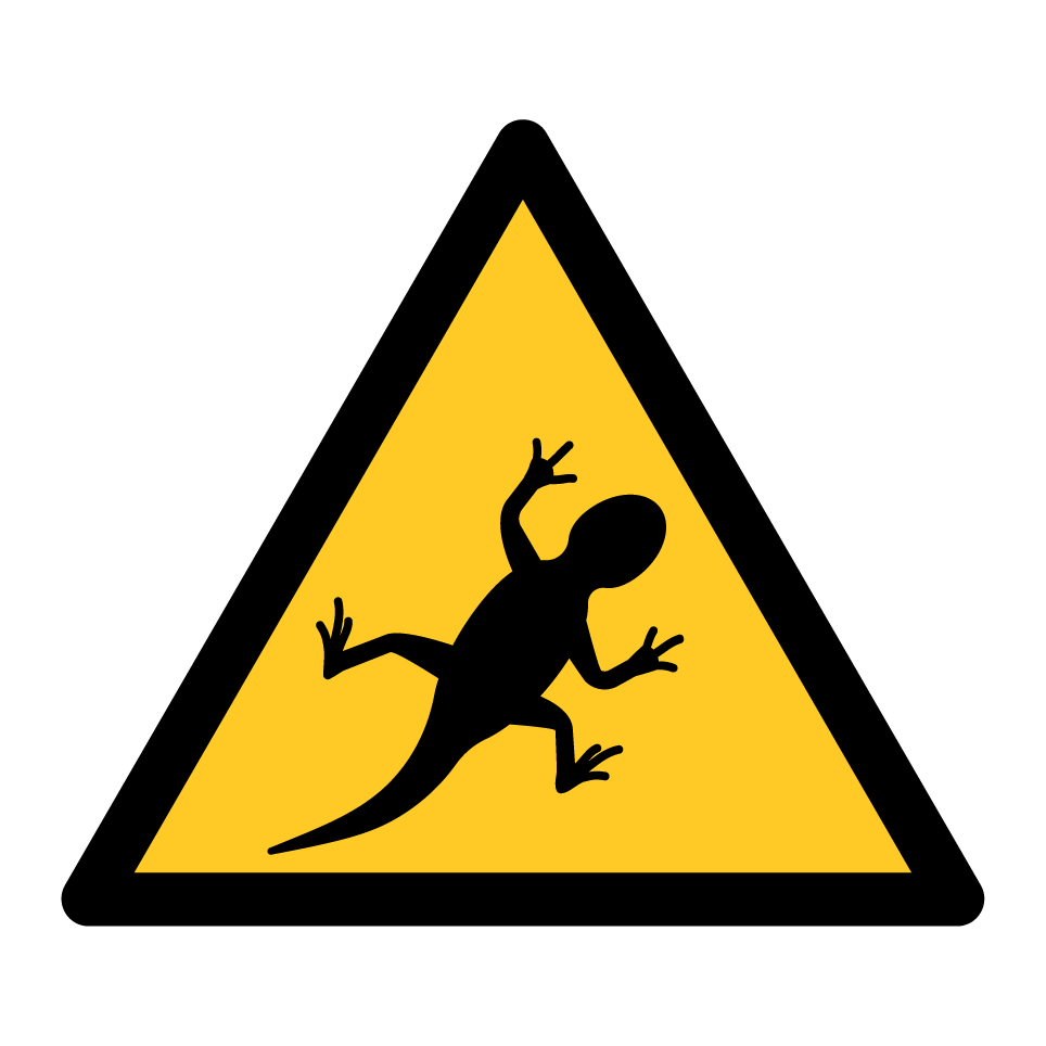Lézard d'avertissement