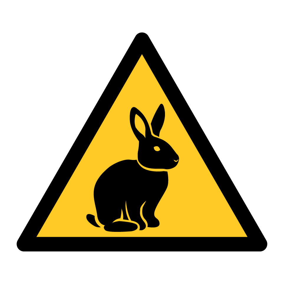 Warning rabbit