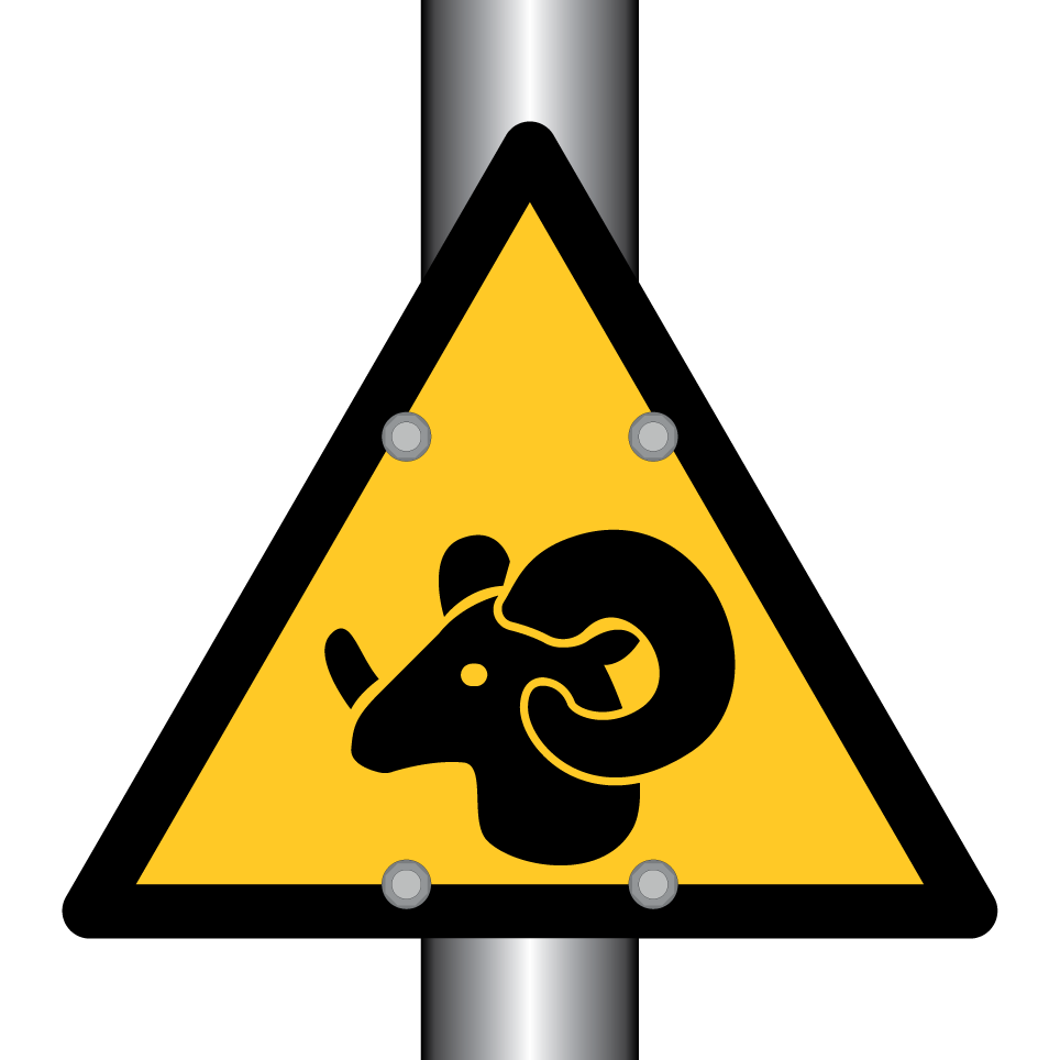 Warning ram