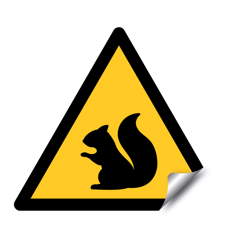 Warning squirrel