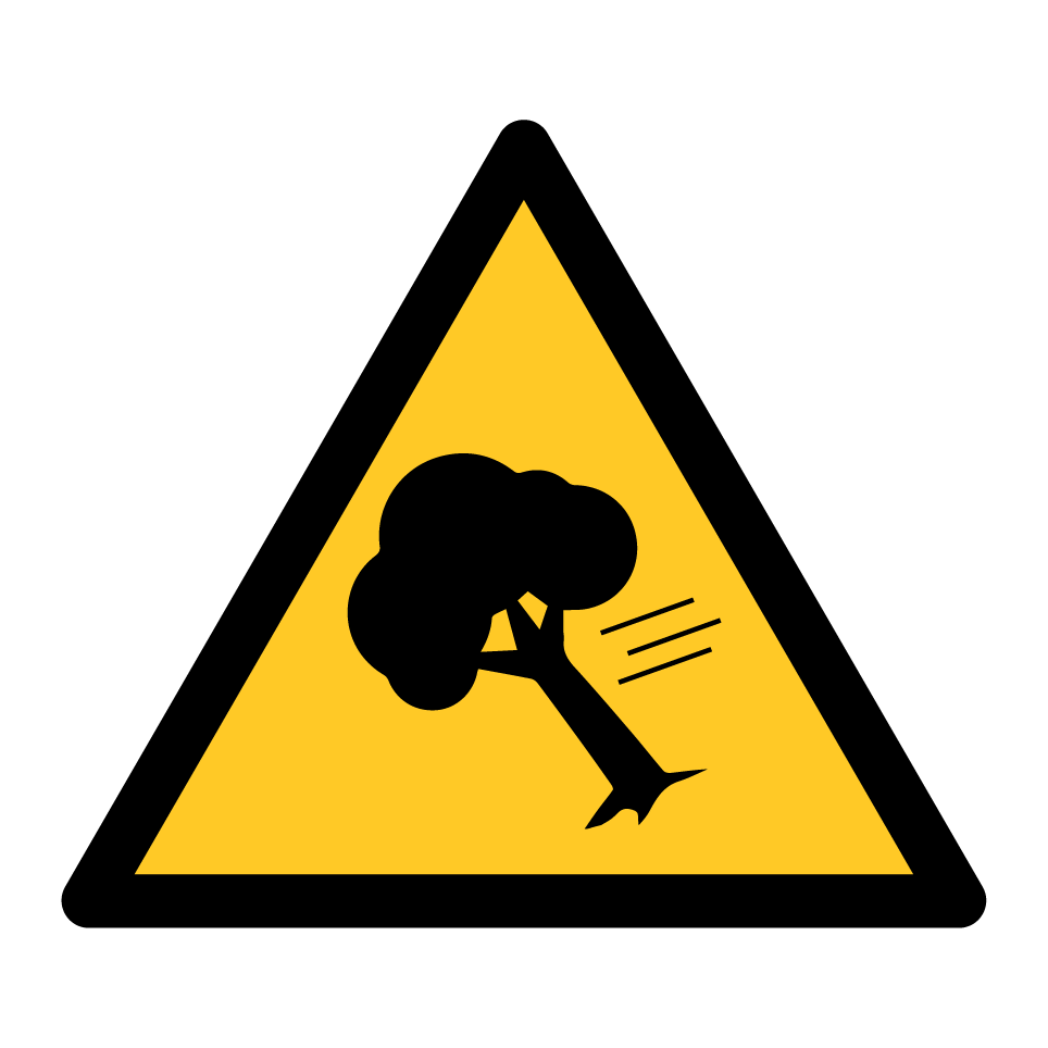 Warning strong wind