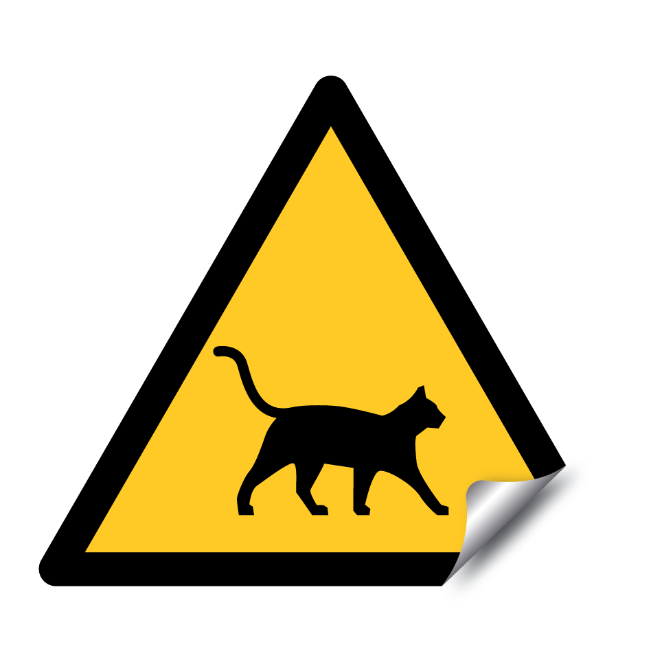 Attention chat traversant