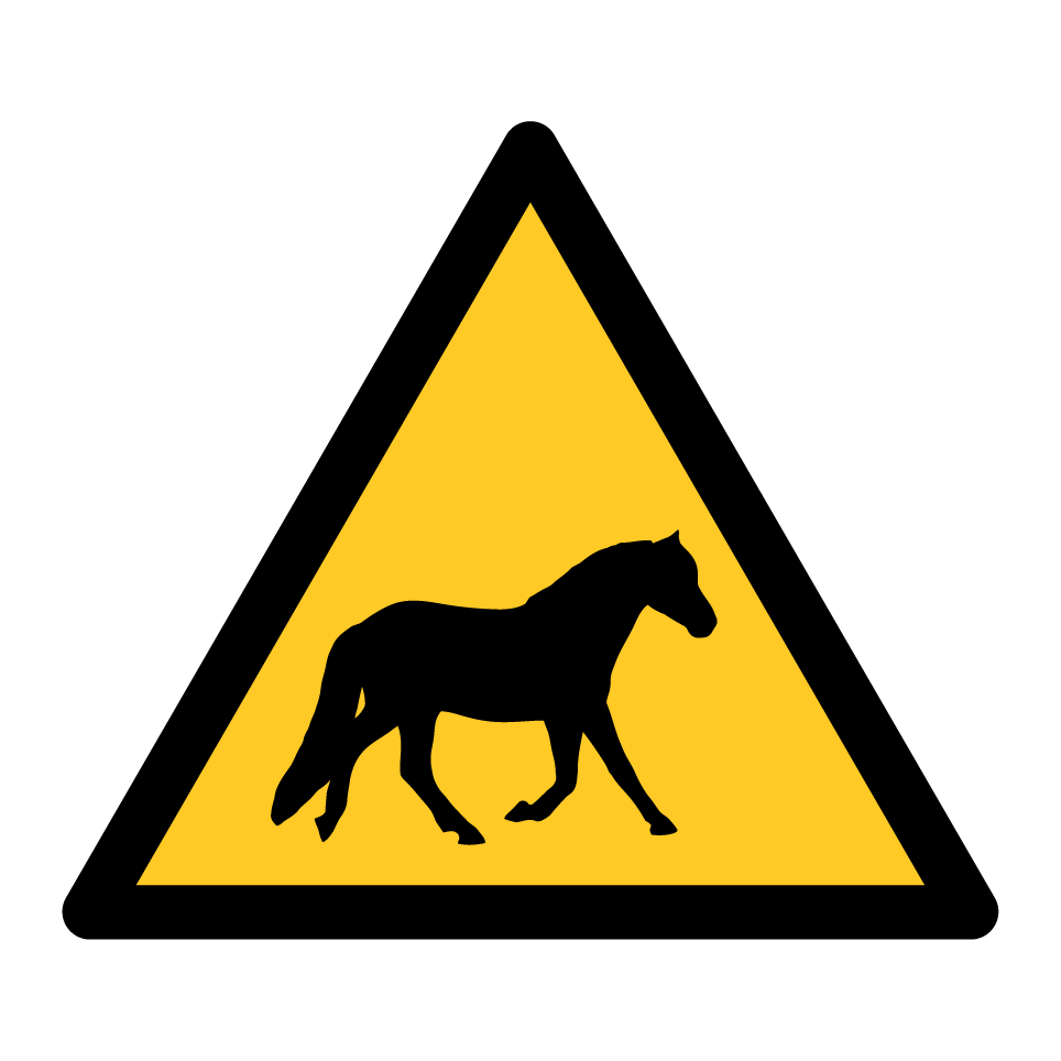 Warning horse crossing