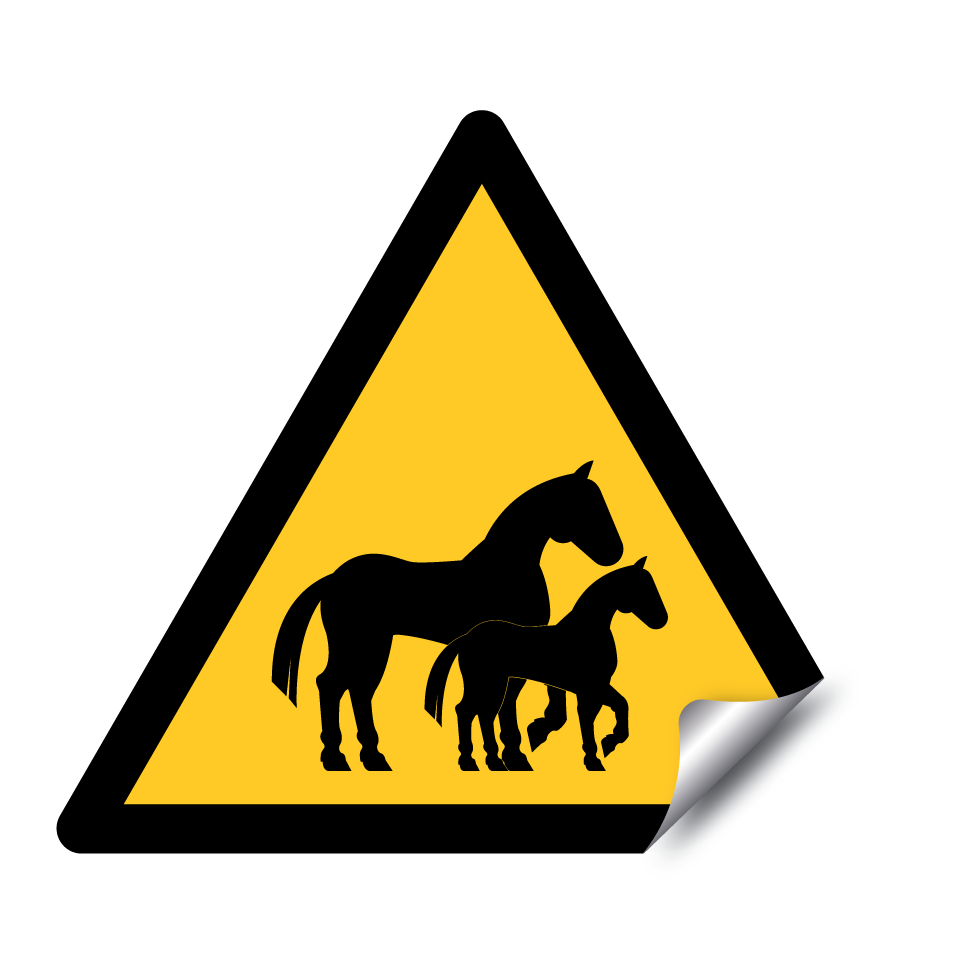 Warning horses with foal